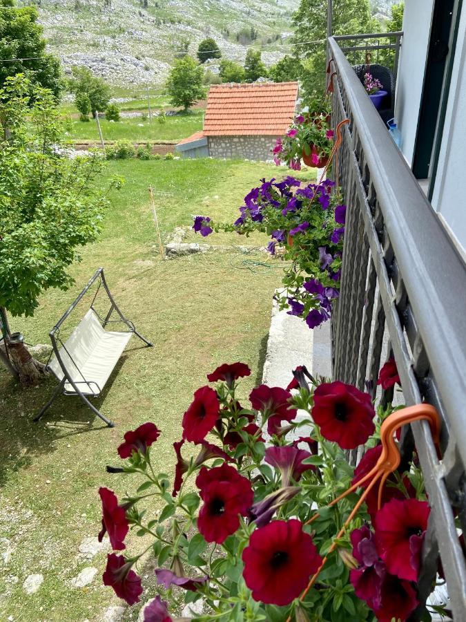 Guest House Markovic Lovcen Cetinje Exterior foto