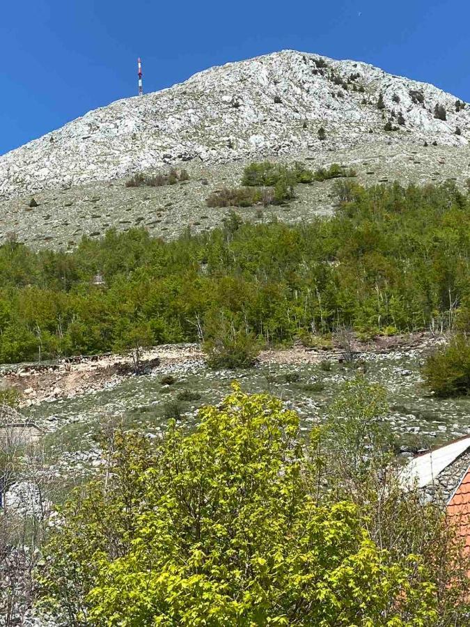 Guest House Markovic Lovcen Cetinje Exterior foto